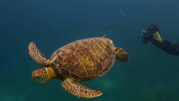 Iconic Episodes and Moments Deep Dive Season 5 Analyzes Shows Best